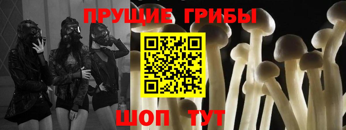 Сокол  Псилоцибиновые грибы прущие грибы  Вход с VPN 